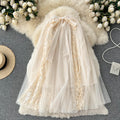 Fairy Mesh Lace Embroidered Chiffon Skirt