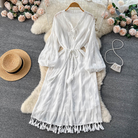 Lace Embroidered Slim Fairy Dress